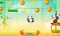 Panda - Kegeln 