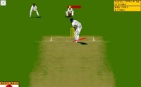 Online Cricket 