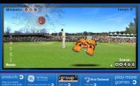 Test Catch Cricket