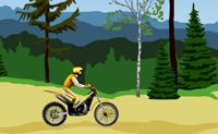 Stunt Dirtbike