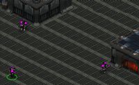 StarCraft Flash RPG